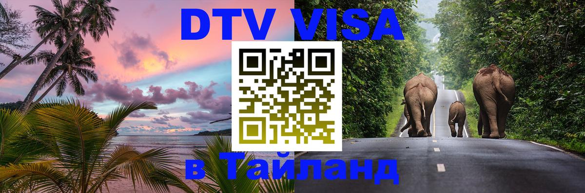 Оформление DTV визы под ключ: стоимость и тарифы, только загранпаспорт - 20.11.2025 